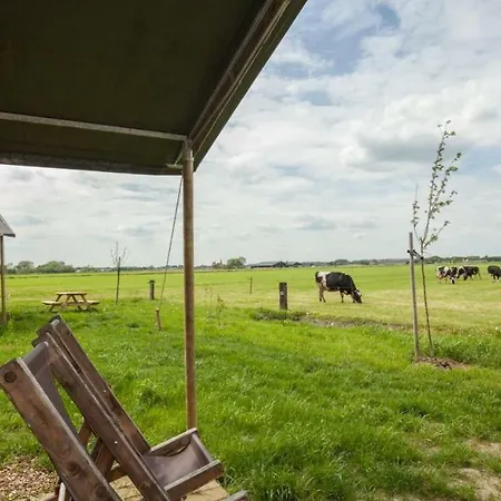 럭셔리텐트 Hoeve De Betuwe