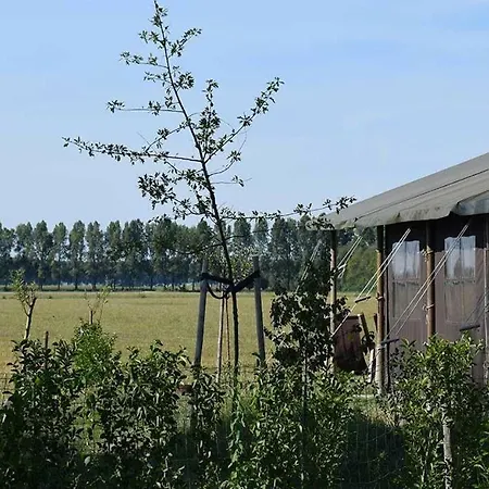 Hoeve De Betuwe 럭셔리텐트