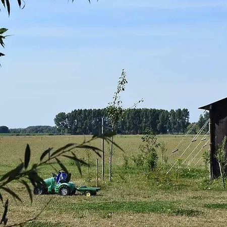 Hoeve De Betuwe 럭셔리텐트 *