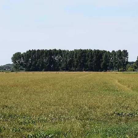 Hoeve De Betuwe Dreumel