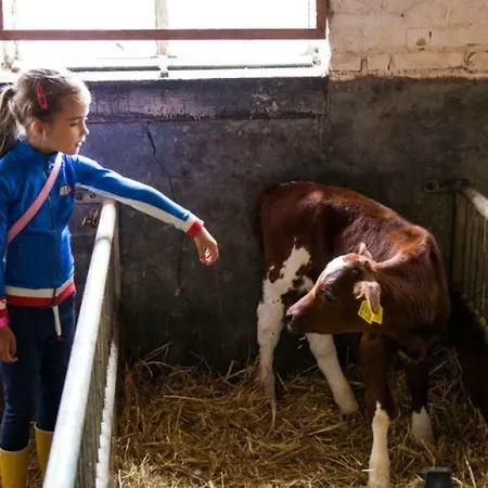 Hoeve De Betuwe 럭셔리텐트 Dreumel