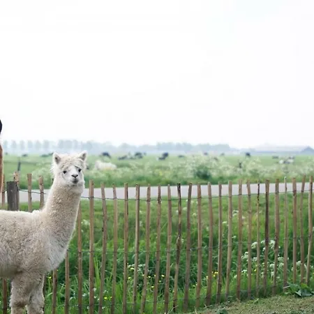 Hoeve De Betuwe 럭셔리텐트 *